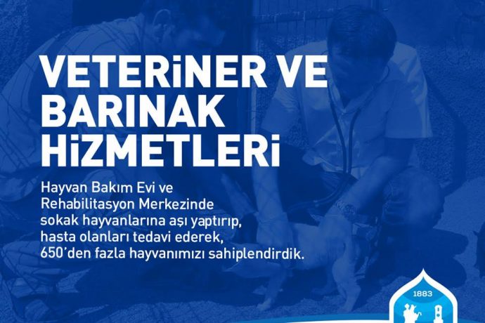 650’den Fazla Hayvanımızı Sahiplendirdik