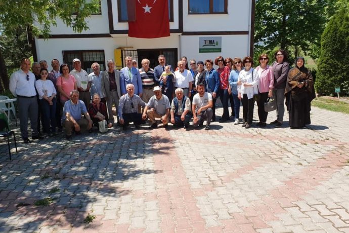 Merzifon Lalesi Tema Vakfımız İle Merzifon’a Getirildi