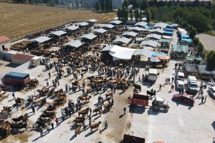 Başkanımız ve Başkan Yardımcılarımız, Yeni Hayvan Pazarımızı Ziyaret Etti
