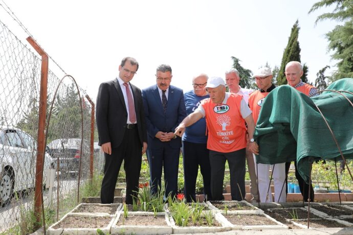 Yitik Lale Artık Şehrimizde Özenle Yetiştiriliyor